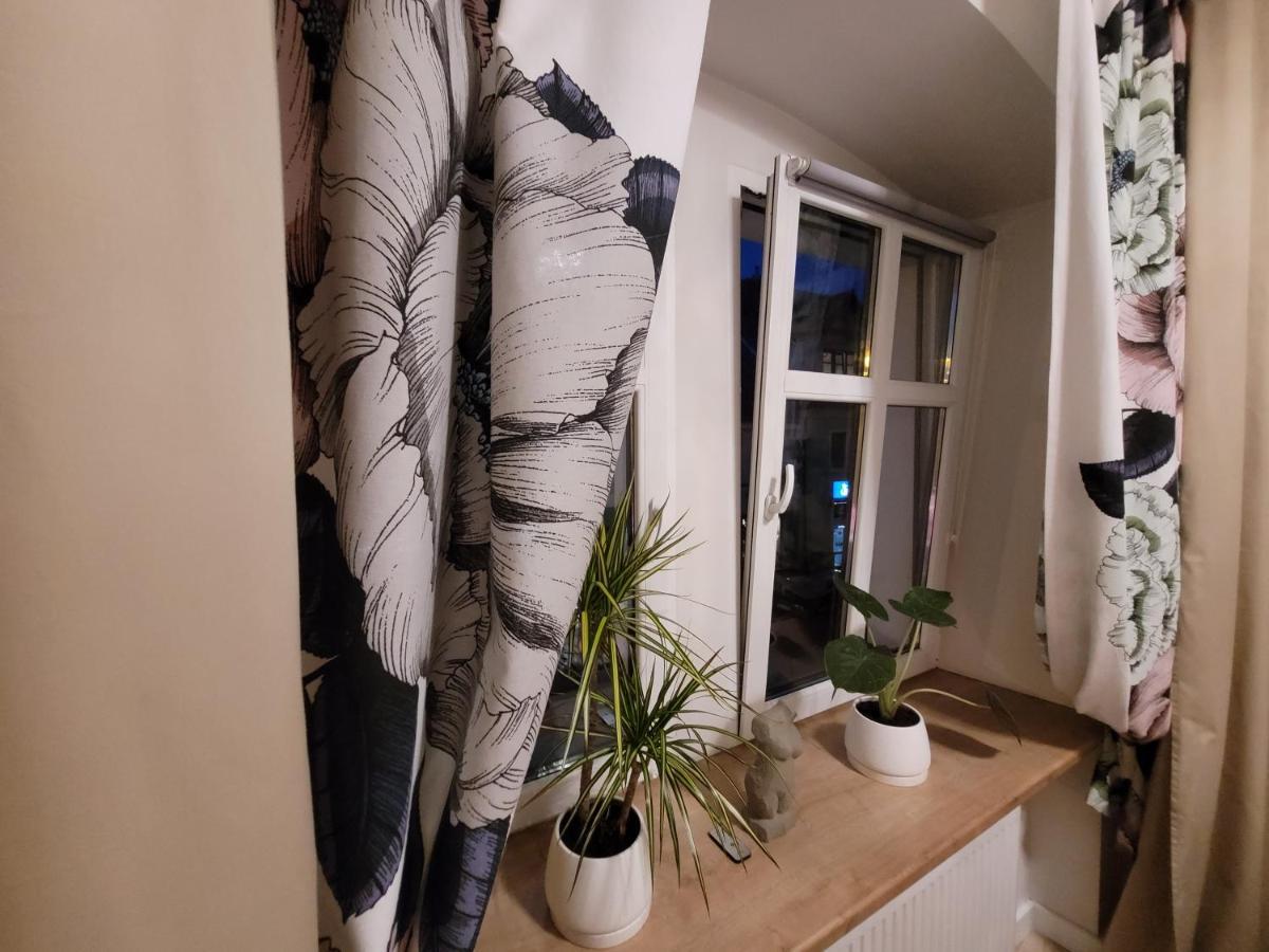 Boleslaviaapartments - Apartament Starowka Boleslawiec  Eksteriør billede
