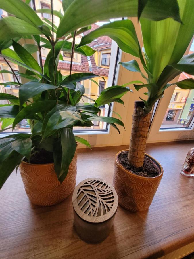 Boleslaviaapartments - Apartament Starowka Boleslawiec  Eksteriør billede